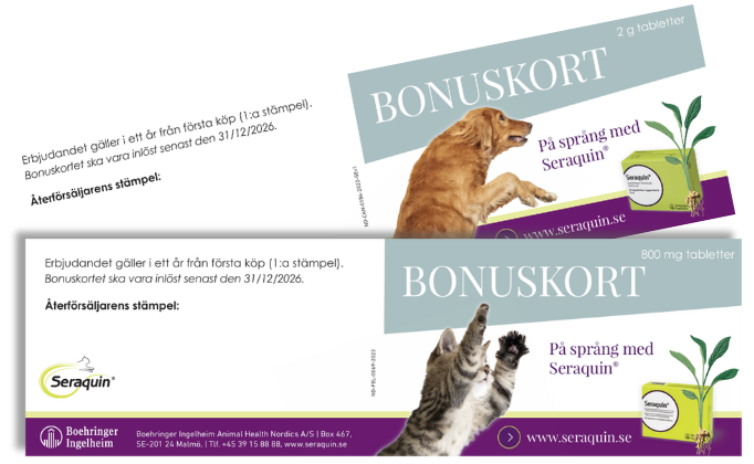 Bonuskort