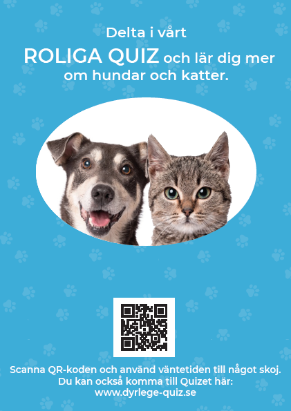 Quiz poster - hund och katt