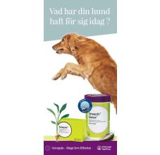 Vad har du haft för dig i dag? (Hund)