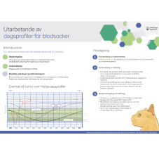 ProZinc dagsprofiler för blodsocker