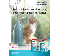Semintra veterinär broschyr katt