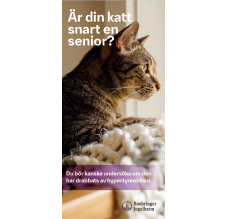 Är din katt snart en senior?