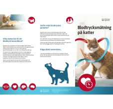 Semintra Blodtrycksmätning - Framsida