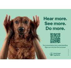 Caninebeat Postkort 1