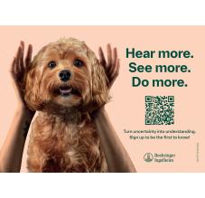 Caninebeat Postkort 3
