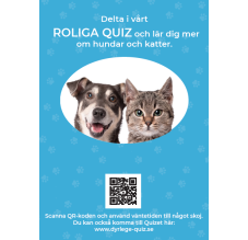 Quiz poster - hund och katt