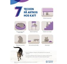 7 tecken på artros hos KATT - 50x70 cm (A-skylt)