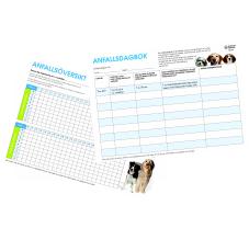 Anfallsdagbok och anfallsöversikt