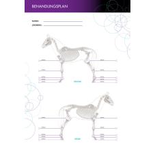 Behandlingsplan och uppföljning