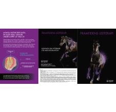 Framtidens ledterapi