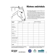 Pain Face blok: Hästens Smärtskala