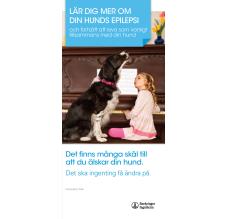 Lär dig mer om din hunds epilepsi