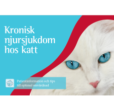 Kronisk njursjukdom hos katt