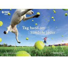 Tag hand om hundens leder