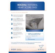 Beräkna Vertebral Heart Score (VHS)