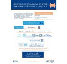 MMVD - Identifiering och behandling