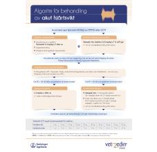 Algoritm för behandling av akut hjärtsvikt