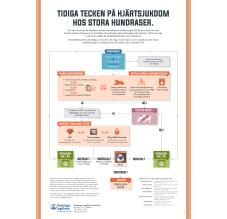 Tidiga tecken på hjärtsjukdom