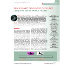 Long term use of NSAIDs in cats