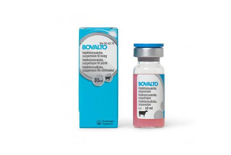 bovalto