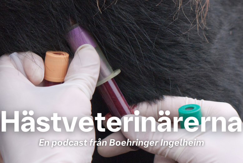Hästveterinärerna