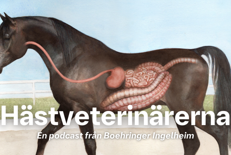 Hästveterinärerna