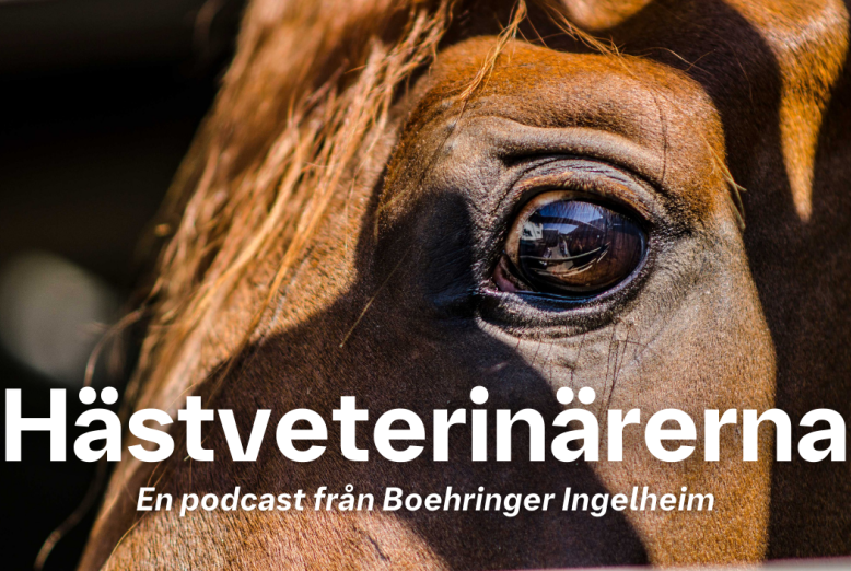 Hästveterinärerna