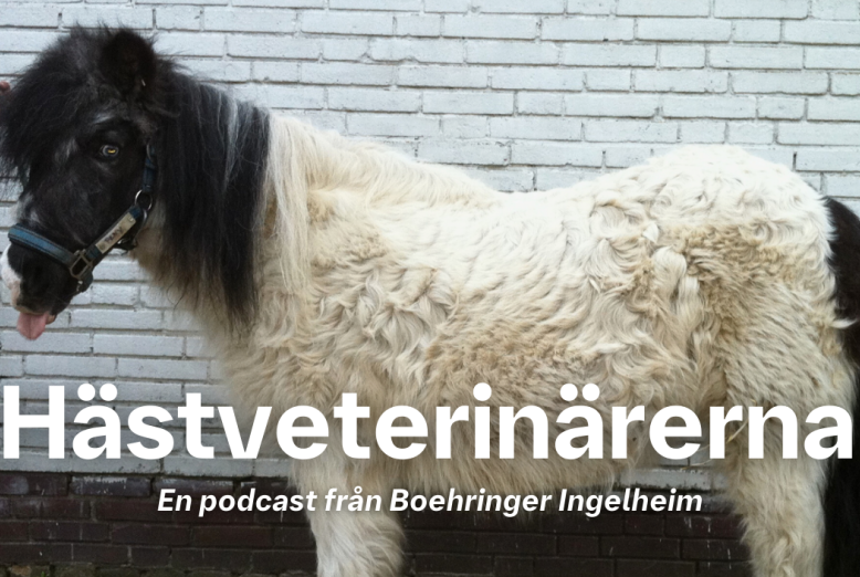 Hästveterinärerna SE