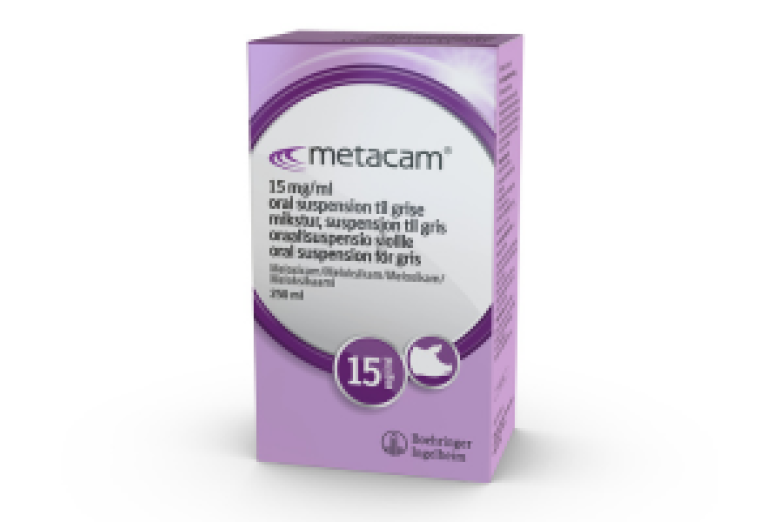 Metacam oral