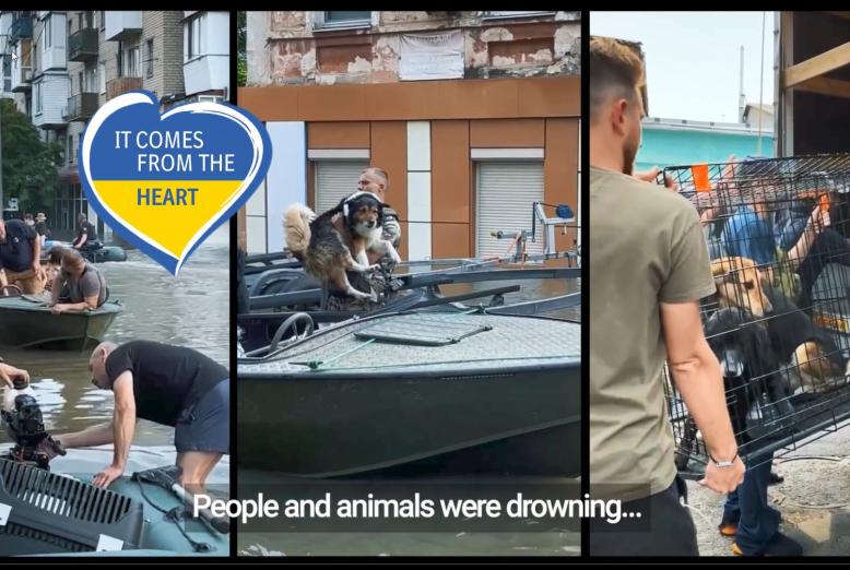 Svåra förhållanden för veterinärer i Ukraina