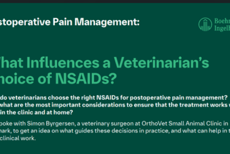 Previcox Hund Artikel