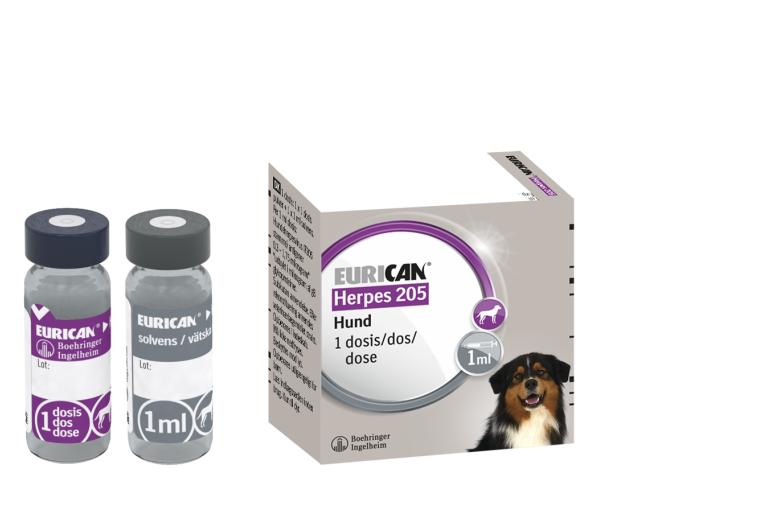Eurican Herpes 205