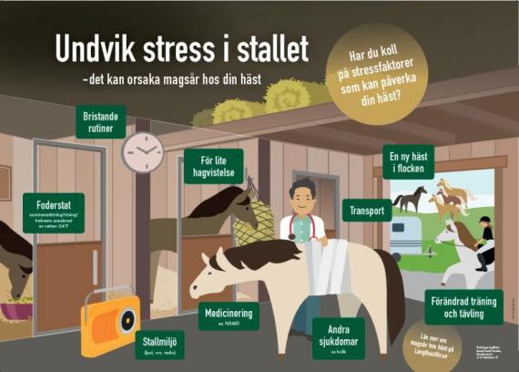 Stallposter Undvik stress i stallet