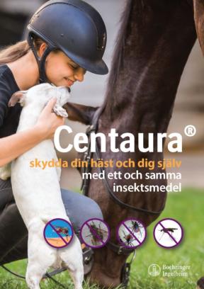 Skydda din häst och dig själv med ett och samma insektmedel