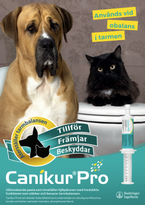 Canikur broschyr 