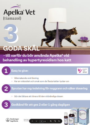 Apelka 3 goda skäl Onepager SE