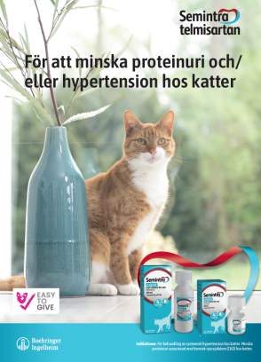 Semintra veterinär broschyr katt