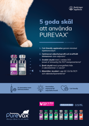 Purevax Katt