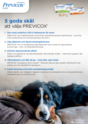 Previcox One Pager SE