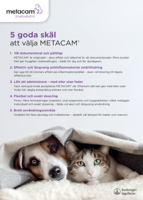 Metacam One Pager Kat & Hund