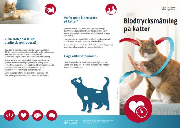 Semintra Blodtrycksmätning - Framsida