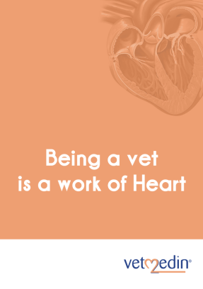 Vetmedin anteckningsbok