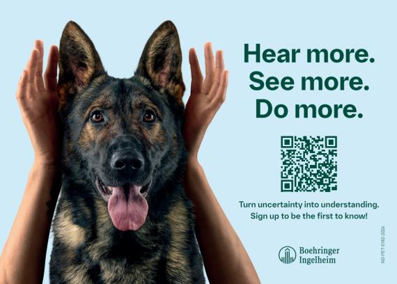 Caninebeat Postkort 4