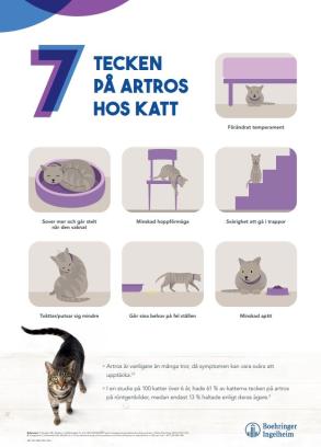 7 tecken på artros hos KATT - 50x70 cm (A-skylt)