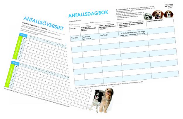 Anfallsdagbok och anfallsöversikt