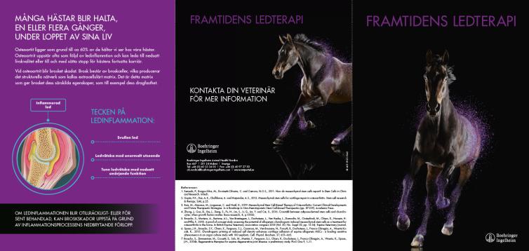 Framtidens ledterapi