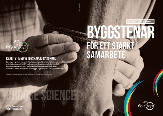 Byggstenar för ett starkt samarbete