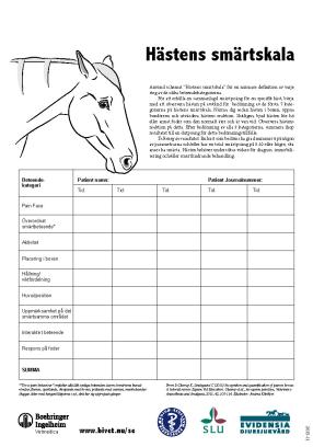 Pain Face blok: Hästens Smärtskala