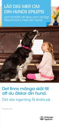 Lär dig mer om din hunds epilepsi