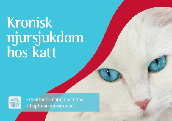 Kronisk njursjukdom hos katt